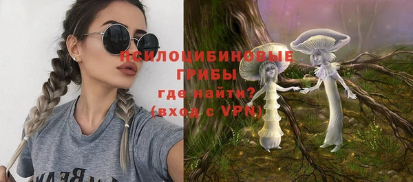 эйфоретик Бородино