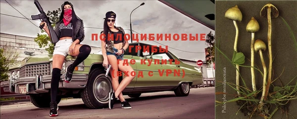 дмт Бронницы